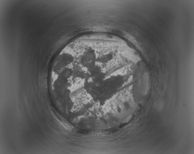 X0000082970299200702230014