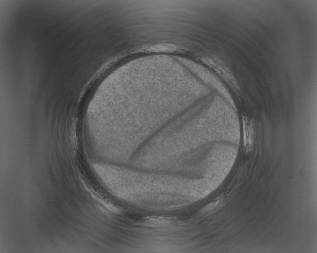 X0000082970300200702230014