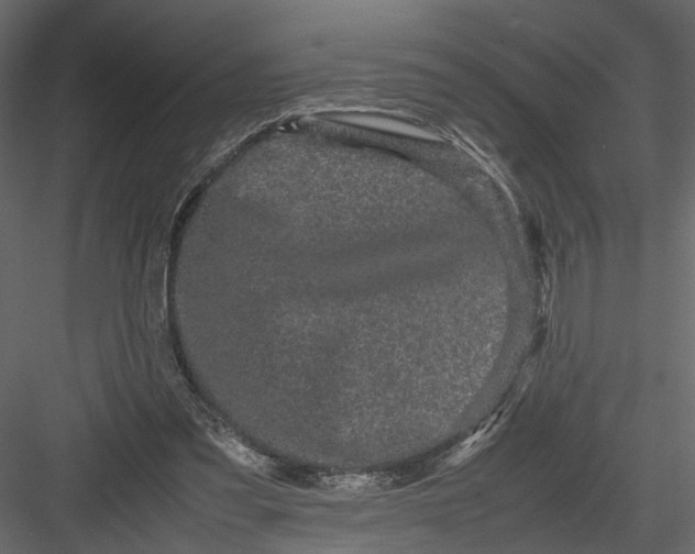 X0000082970301200702230014