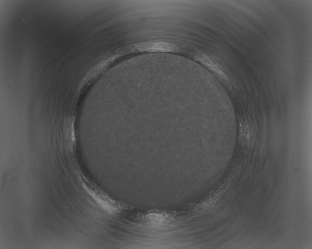 X0000082970302200702230014