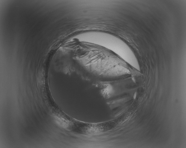 X0000082970303200702230014