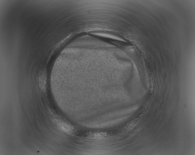 X0000082970304200702230014