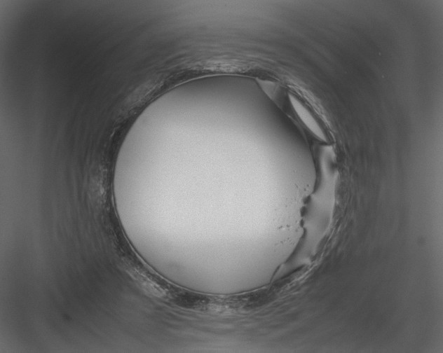 X0000082970305200702230014