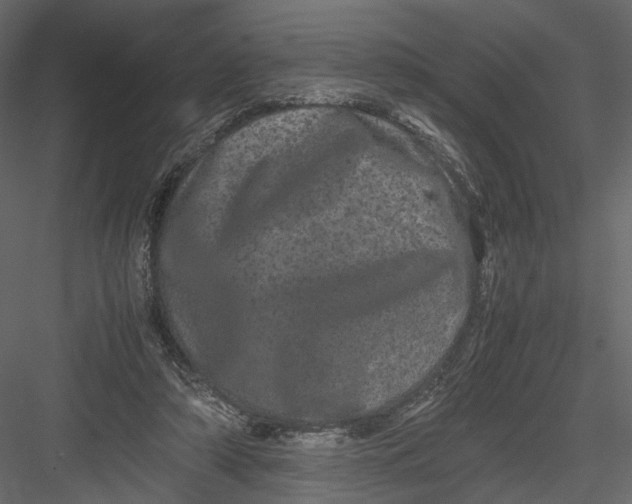 X0000082970306200702230014