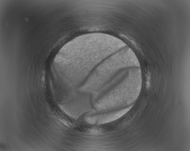 X0000082970308200702230014