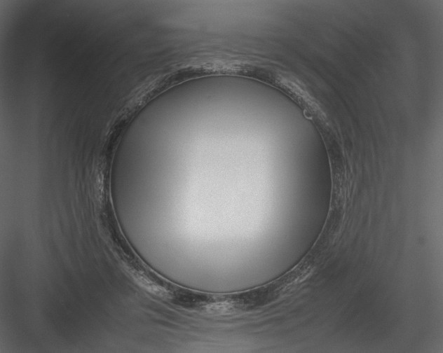 X0000082970309200702230014