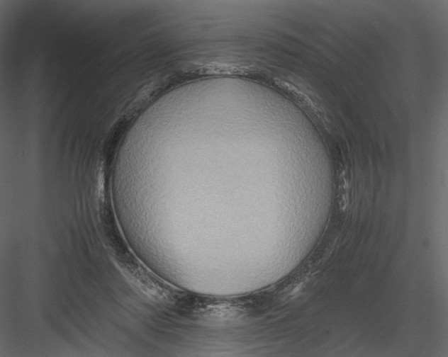 X0000082970310200702230014