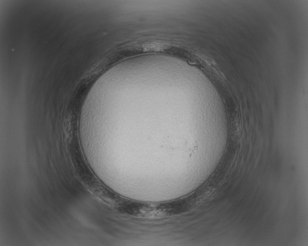 X0000082970311200702230014