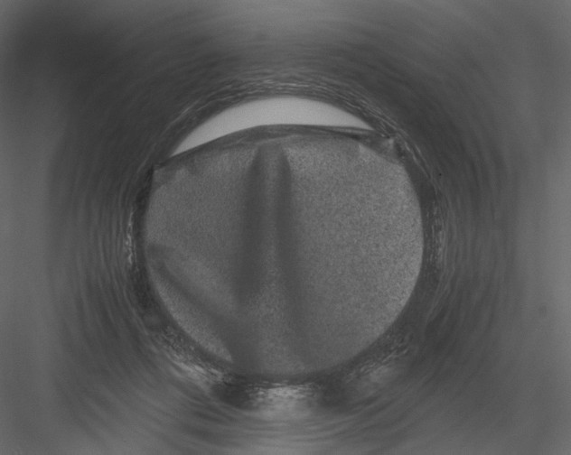 X0000082970312200702230014