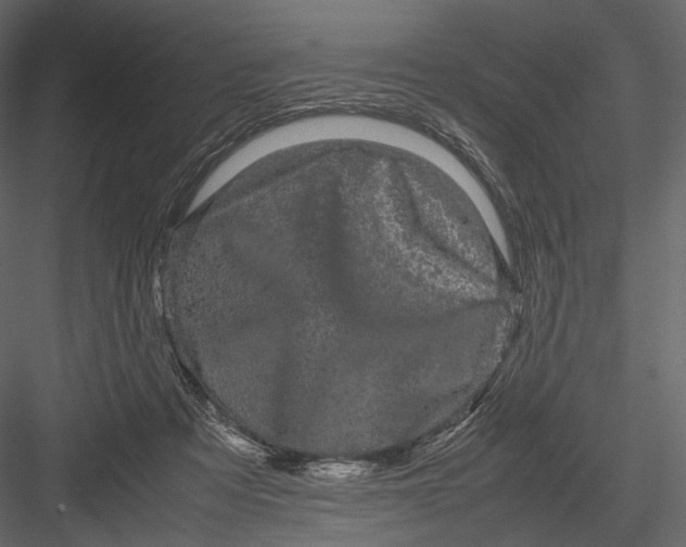 X0000082970313200702230014