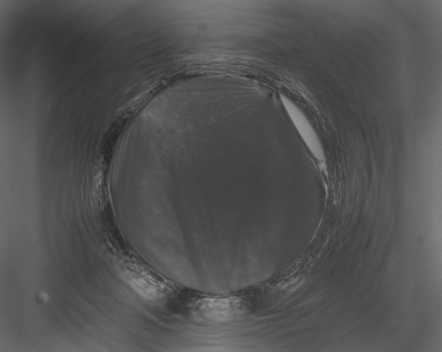 X0000082970314200702230014