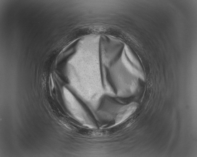 X0000082970315200702230014