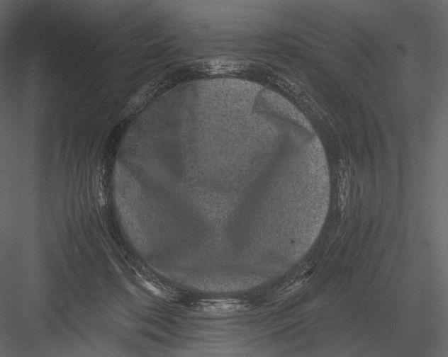 X0000082970316200702230014