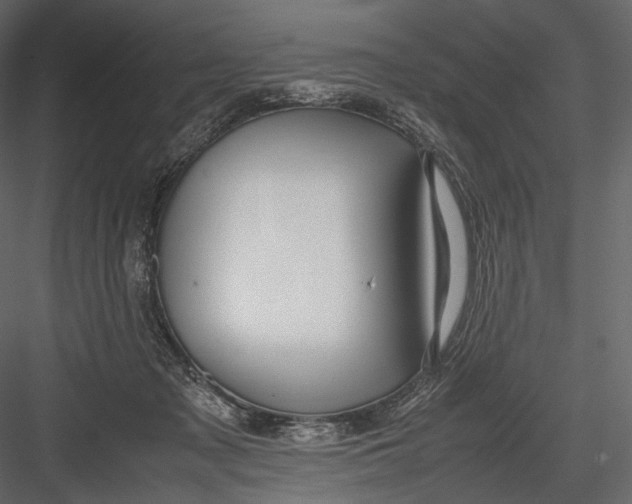 X0000082970317200702230014