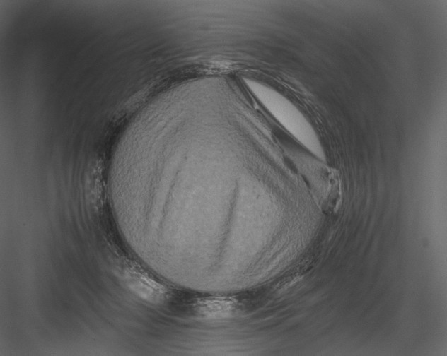 X0000082970318200702230014