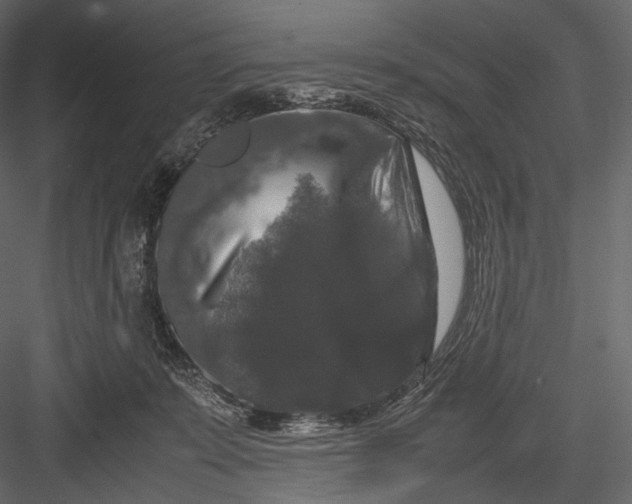 X0000082970319200702230014