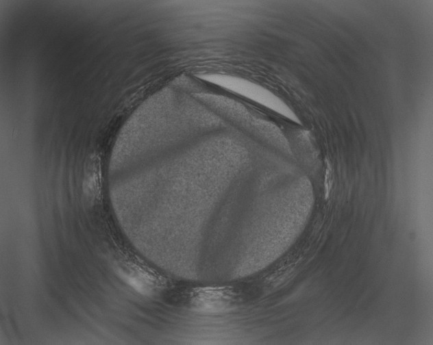 X0000082970320200702230014