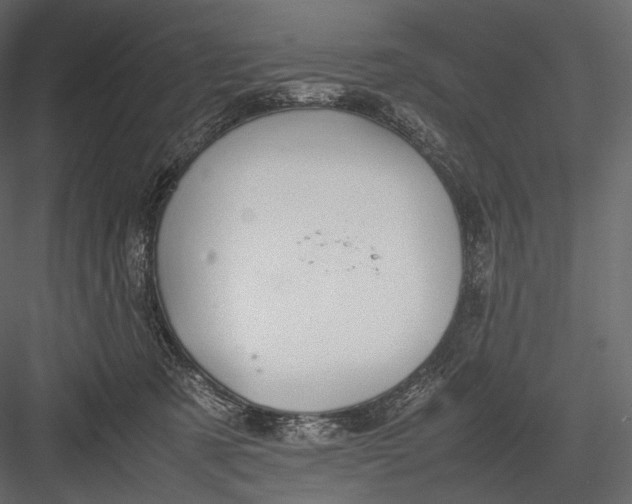 X0000082970321200702230014