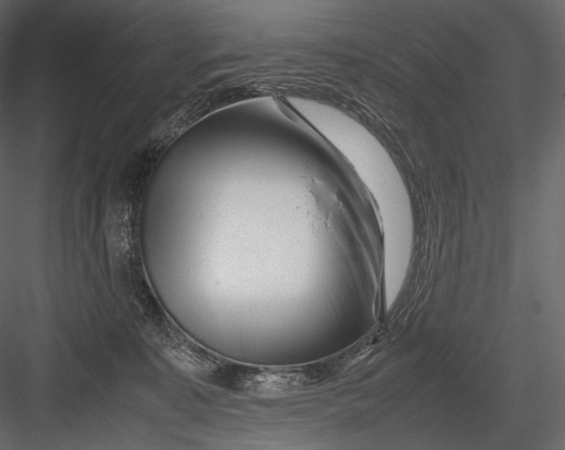 X0000082970323200702230014