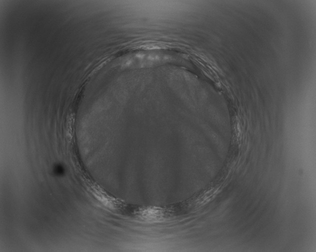 X0000082970325200702230014