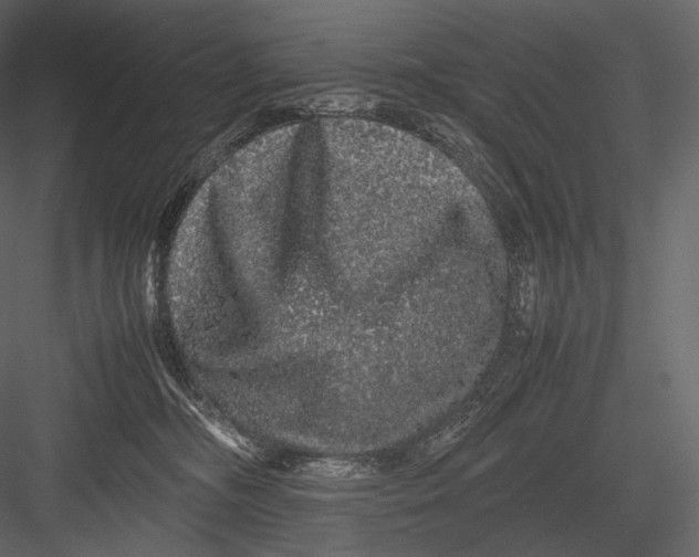 X0000082970326200702230013