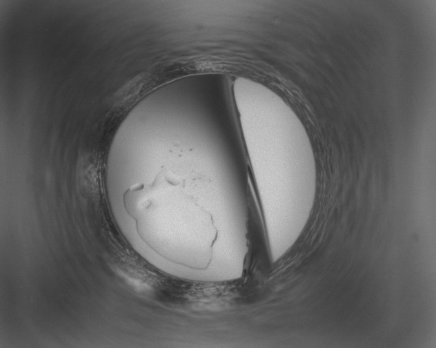 X0000082970329200702230013