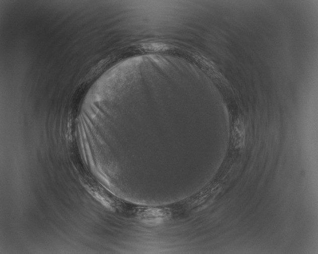 X0000082970330200702230013