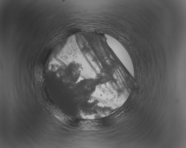 X0000082970331200702230013