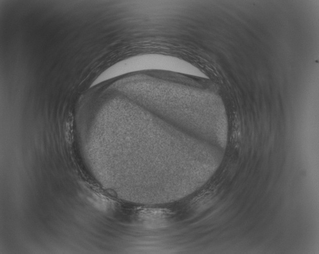 X0000082970332200702230013