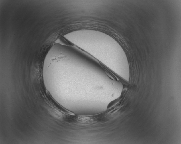 X0000082970333200702230013