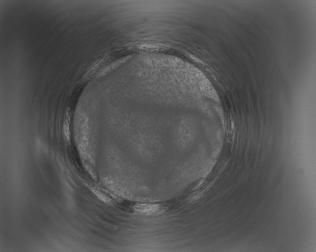 X0000082970334200702230013