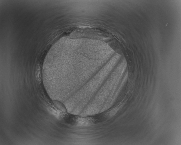 X0000082970336200702230013