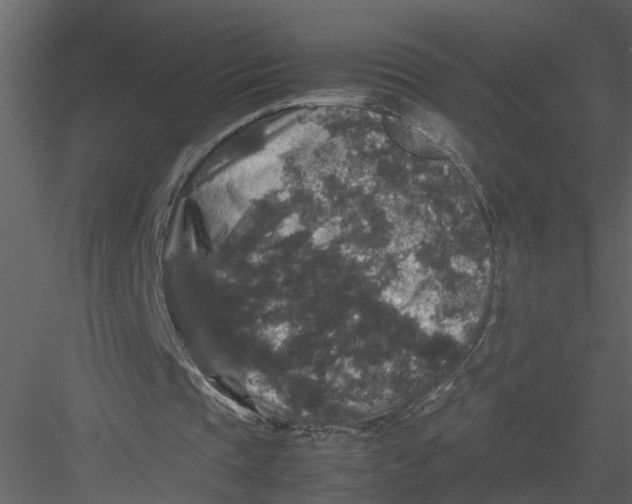 X0000082970337200702230012