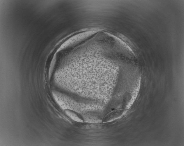 X0000082970338200702230013