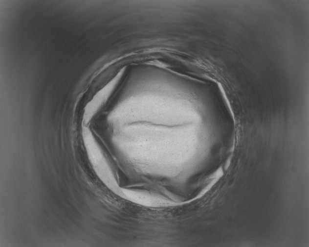 X0000082970339200702230013