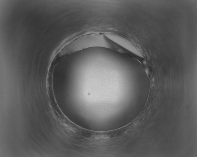 X0000082970340200702230013