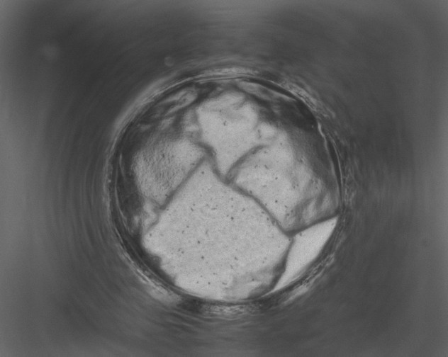 X0000082970341200702230013