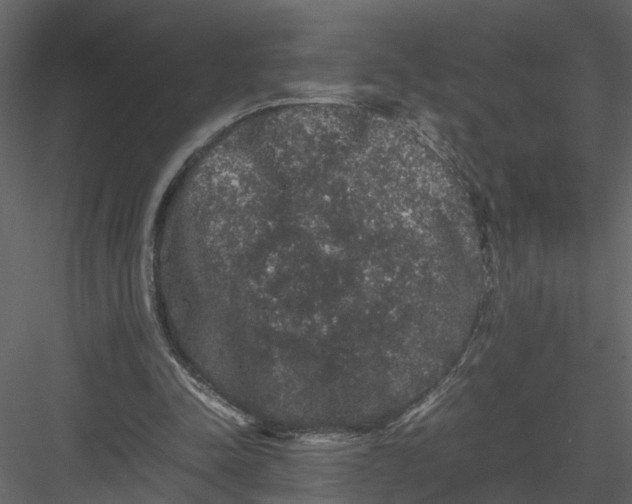 X0000082970342200702230013