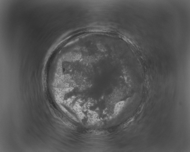 X0000082970343200702230013