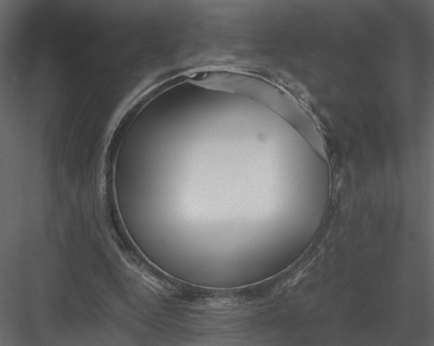 X0000082970344200702230013