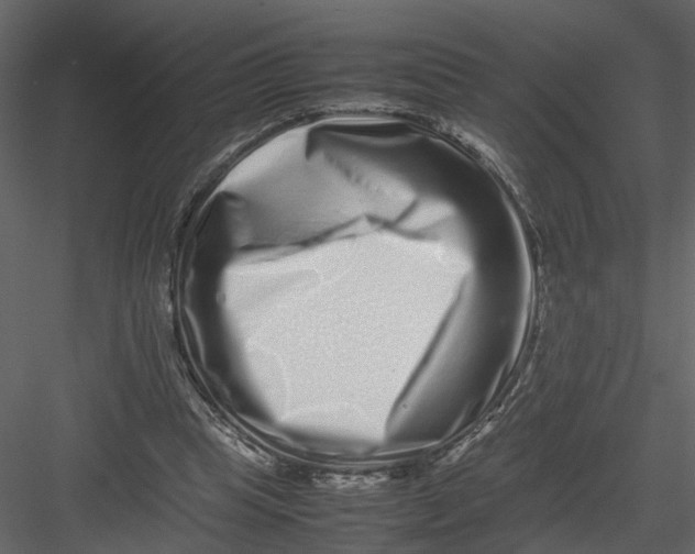 X0000082970345200702230013