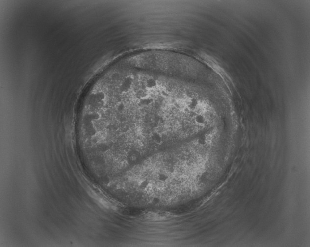 X0000082970346200702230013