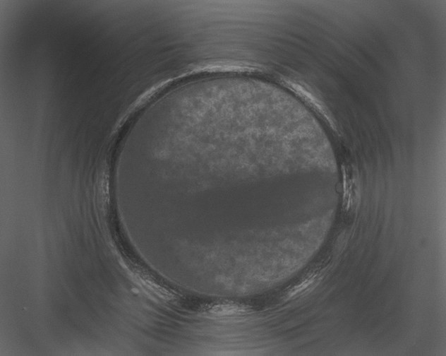 X0000082970348200702230013