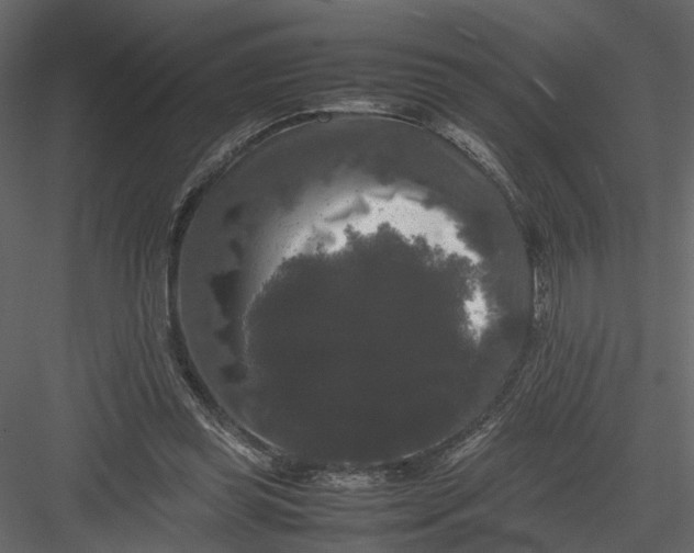 X0000082970349200702230013