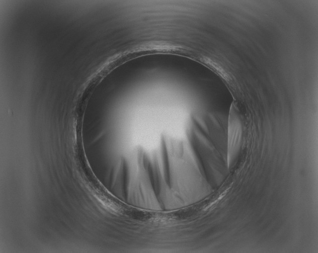 X0000082970350200702230013