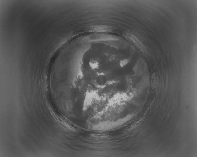 X0000082970351200702230013