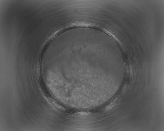 X0000082970352200702230013