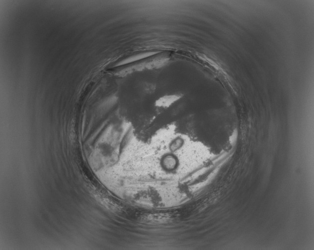 X0000082970353200702230013