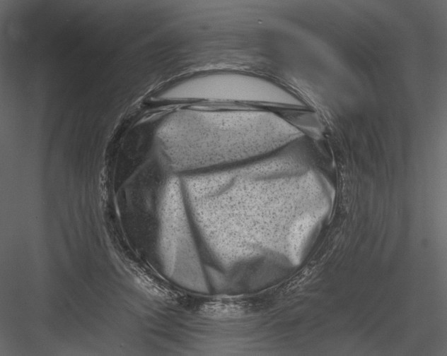 X0000082970354200702230013