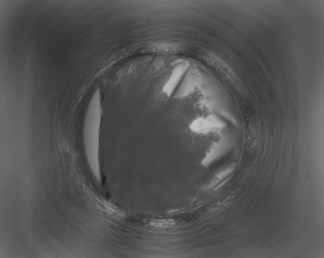 X0000082970355200702230013